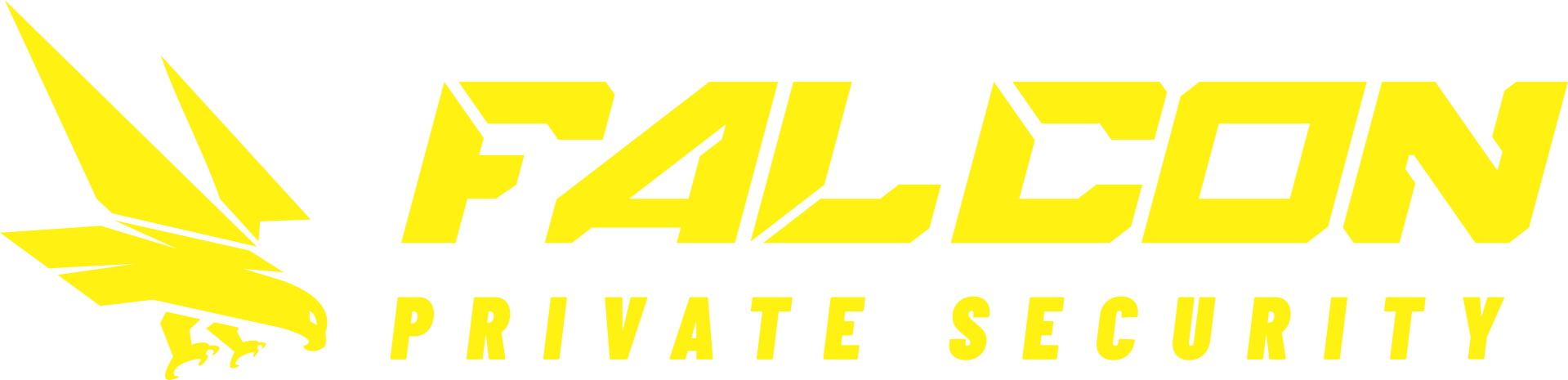 Falcon Security